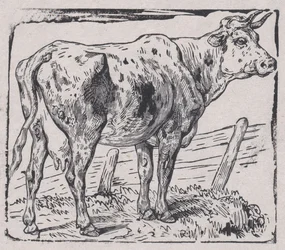 En ko, ca. 1853.
