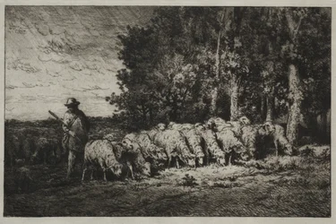 En flock i kanten av en skog