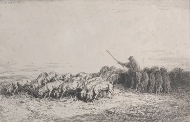 En grisflock, 1850.