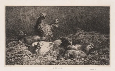 Kycklingar, 1867.