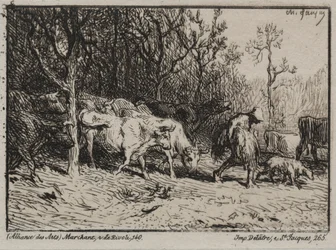 Koherde