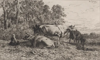 Holländska kor, 1864.