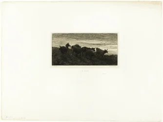 Kväll