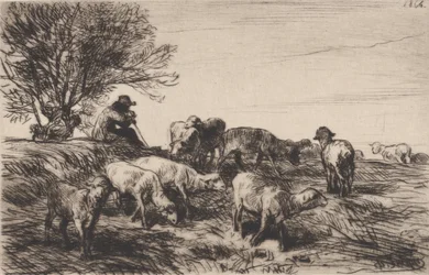 Fårhjord, 1864.