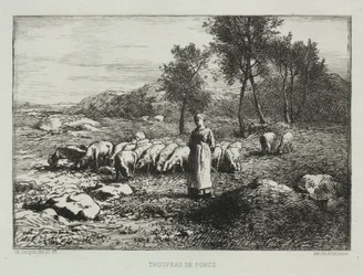 Svinhjord, 1868.