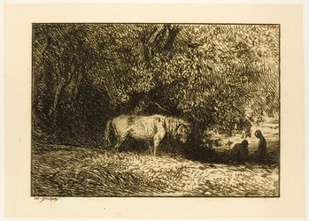 Häst i skogen