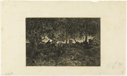 I skogen