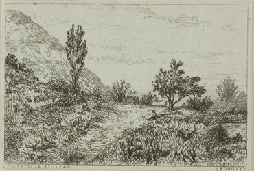 Landskap