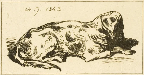 Liggande hund