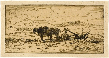 Ploughman och hans lag vilar