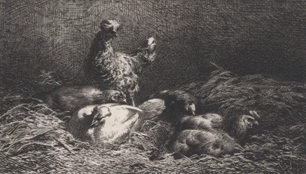 Höns, 1867.