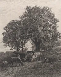 Vila, 1864.