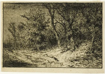 Vägen vid kanten av en skog