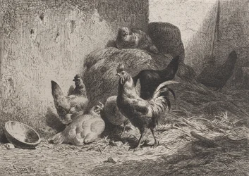 Tupp och höns, 1864.
