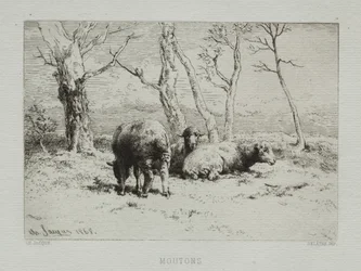 Får, 1868.