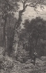 Jakt på morkulla, 1864