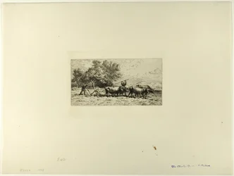 Team av Oxen