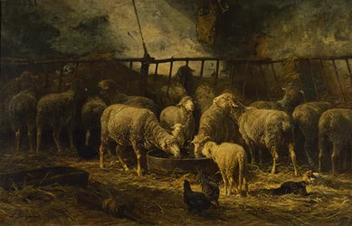 Den stora fårfållan, 1881