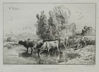 Bevattningsplatsen.