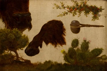 Studie för "The Wounded Buffalo": bergsalvia, buffelhuvud och hov, tjurbär, stenyxa och kaktus ...