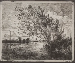 A Cluster of Alders, originalavtryck 1862, tryckt 1921.