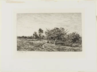 Äppelträd i Auvers