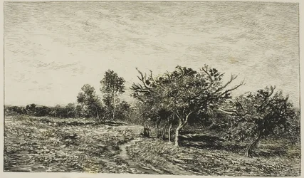 Äppelträd i Auvers