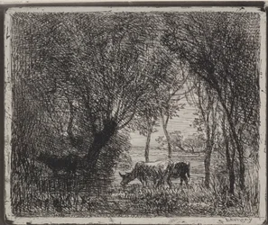 Kor i skogen