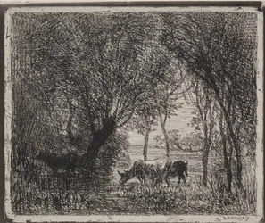 Cows in the Woods, originalavtryck 1862, tryckt 1921.