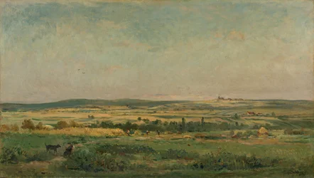 spannmålsskörd