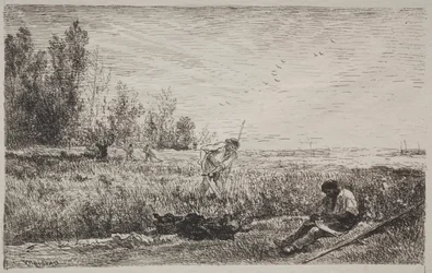 Slåtter