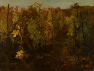 Vinrankan, 1860-1863.