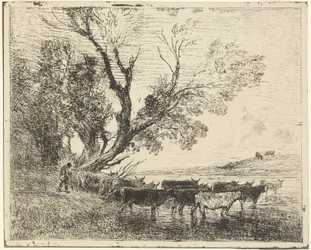 Forden