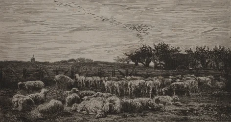 Den stora fårfållan, 1860.