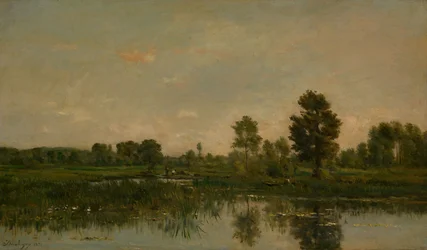 Marsh