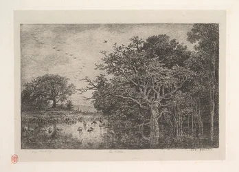 Myrarna, 1851.