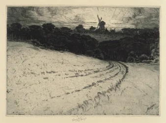 Morgon, Canonicut Island, 1908.