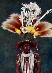 En Roro-hövding klädd för en ceremoniell dans, Papua Nya Guinea, 1920.
