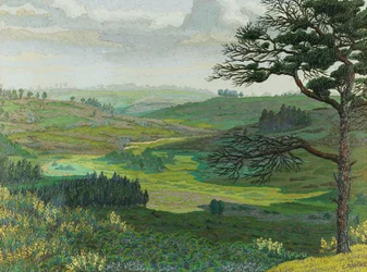 Godshill, New Forest