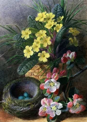 Äppelblomster och primula. Stilleben med ett bo och blommor. Målning av Charles Henry Slater (1820-1890) Privat samling