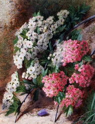 Blommor. Målning av Charles Henry Slater (1820-1890) Privat samling