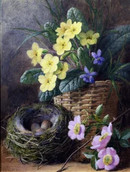 Stilleben med gullvivor, violer och rosor. Stilleben med bo, ägg och blommor. Målning av Charles Henry Slater (1820-1890) Privat samling