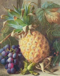 Stilleben av en ananas och vindruvor