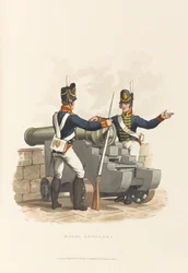 kungligt artilleri