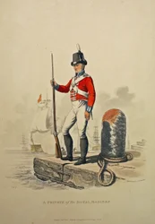 A Private of the Royal Marines, graverad av Joseph Constantine Stadler, publicerad 1815 (akvatint)