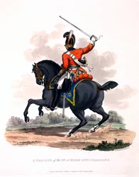 Uniform of a Private of the 3rd or King