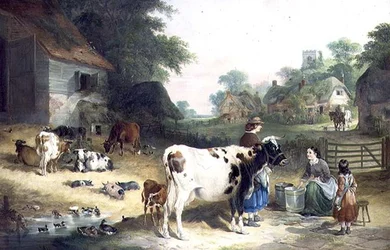 Landsskvaller