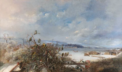 Fåglar av en fjäder