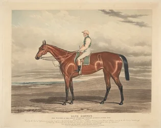 Hästkapplöpning: Blue Bonnet. Vinnaren av de stora St. Leger Stakes i Doncaster 1842