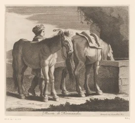 Drickande hästar Masete de Normandie (titel på objekt) Djurserie (serietitel)